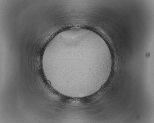 X0000111030113200907231630