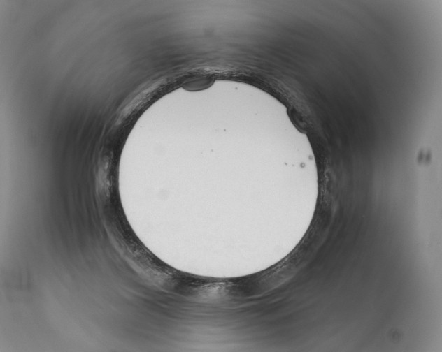 X0000111030116200907231630