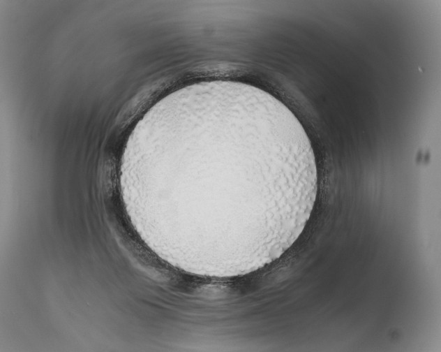 X0000111030119200907231630