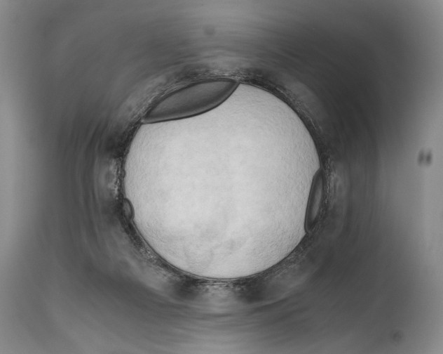 X0000111030121200907231630