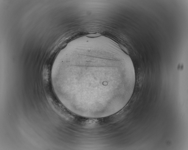 X0000111030124200907231630