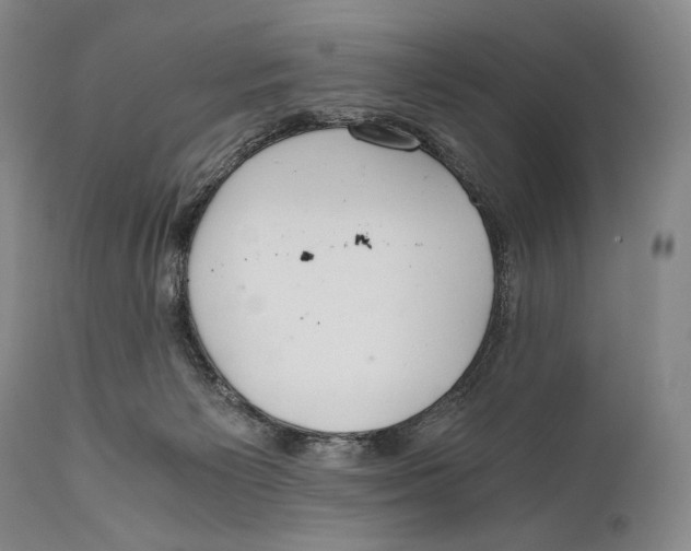 X0000111030125200907231630