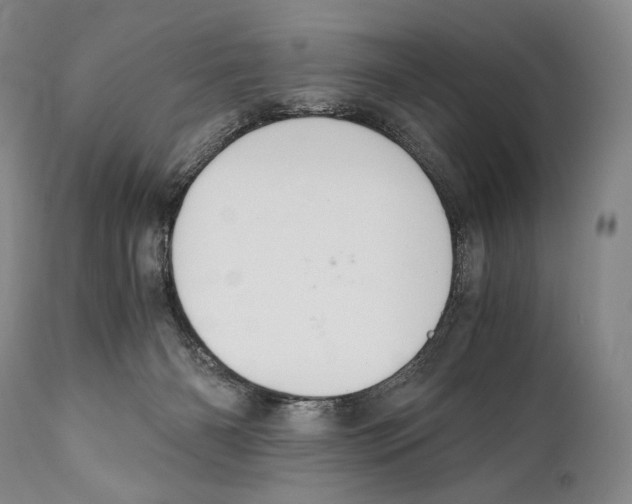 X0000111030126200907231630