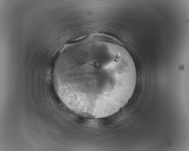 X0000111030127200907231630