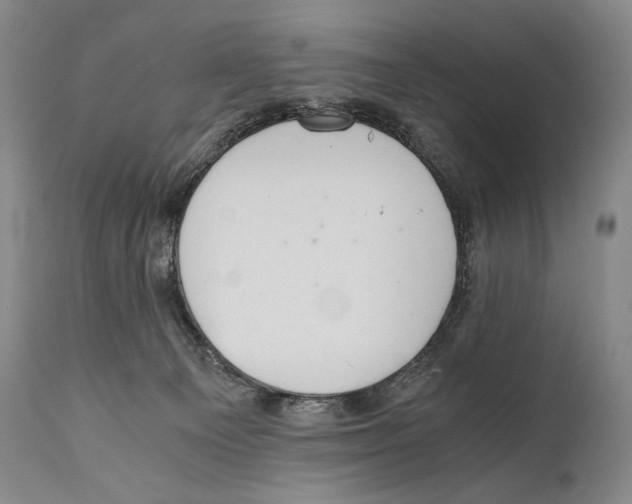 X0000111030129200907231630