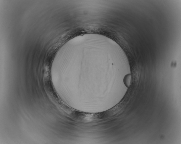 X0000111030130200907231630