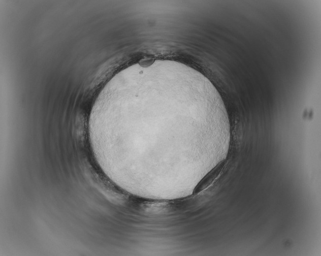 X0000111030132200907231630