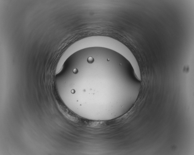 X0000111030136200907231630