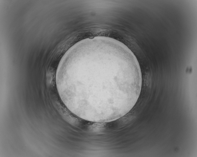 X0000111030138200907231630