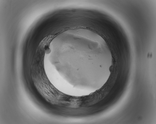 X0000111030143200907231629