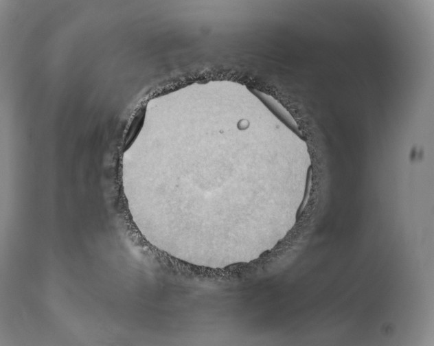 X0000111030144200907231629