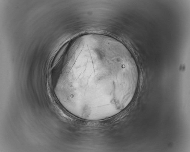 X0000111030145200907231629