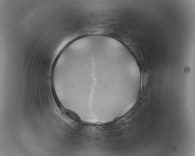 X0000111030147200907231629