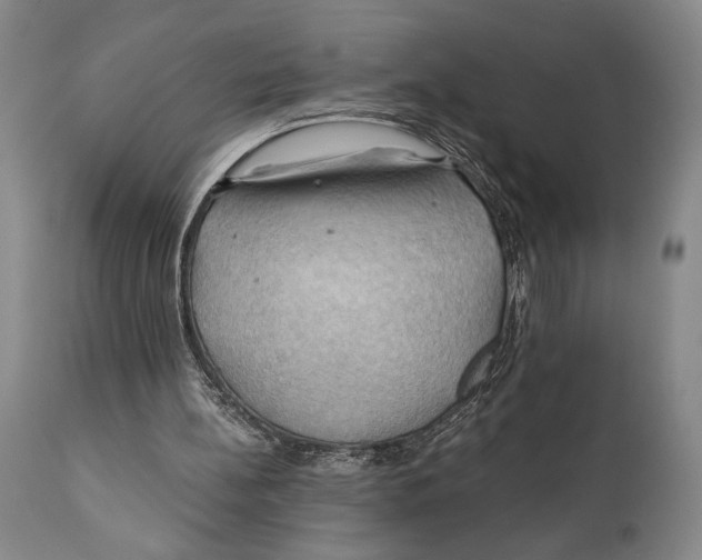 X0000111030148200907231629