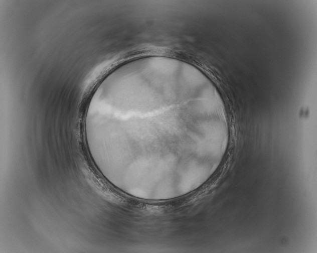 X0000111030149200907231629