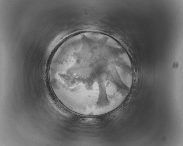 X0000111030151200907231629