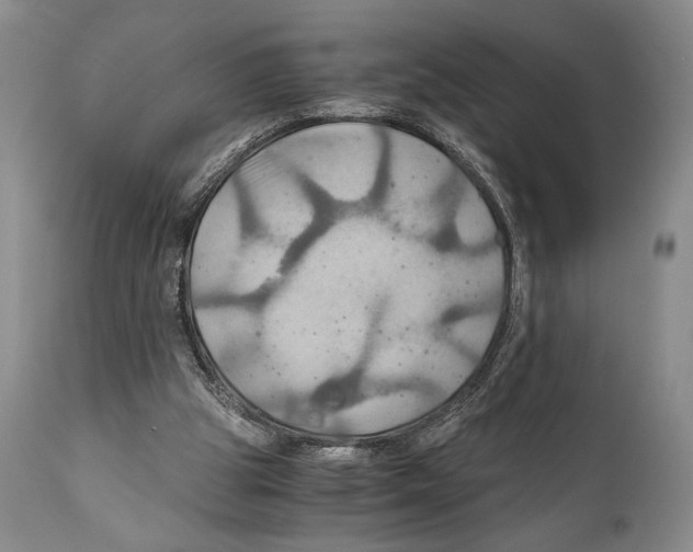 X0000111030153200907231629