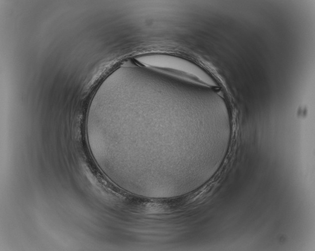 X0000111030154200907231629