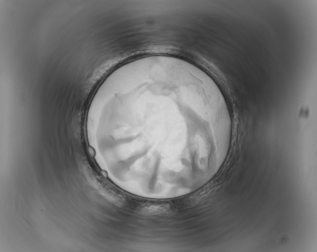 X0000111030155200907231629