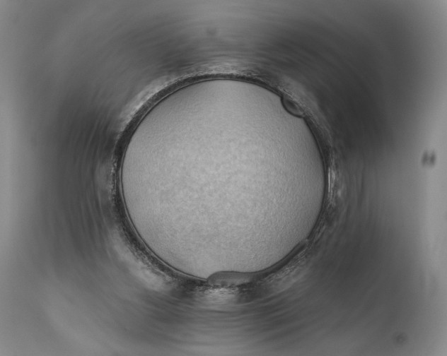 X0000111030156200907231629