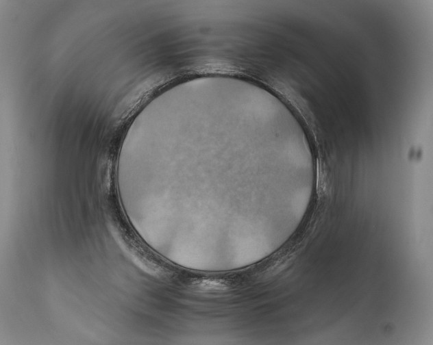 X0000111030157200907231629