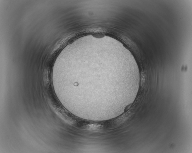 X0000111030158200907231629