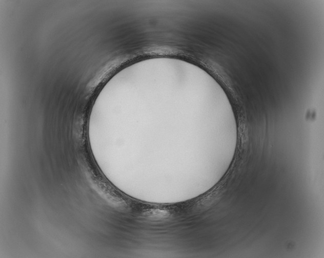 X0000111030159200907231629