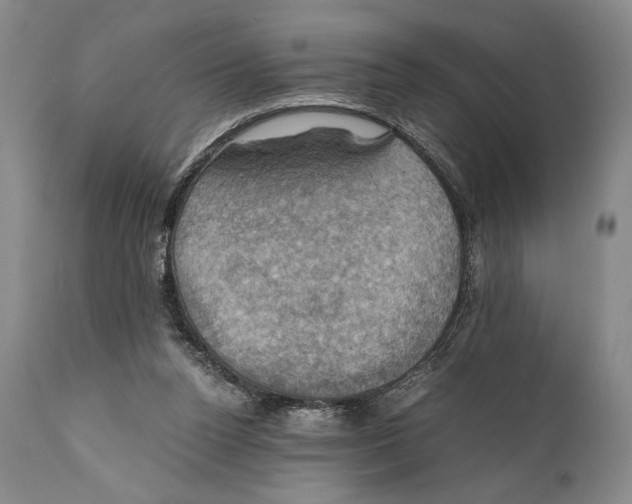 X0000111030160200907231629