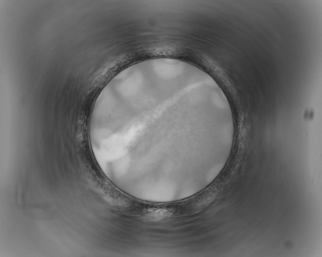 X0000111030161200907231629