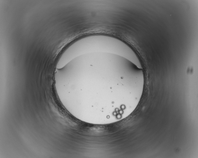 X0000111030164200907231629