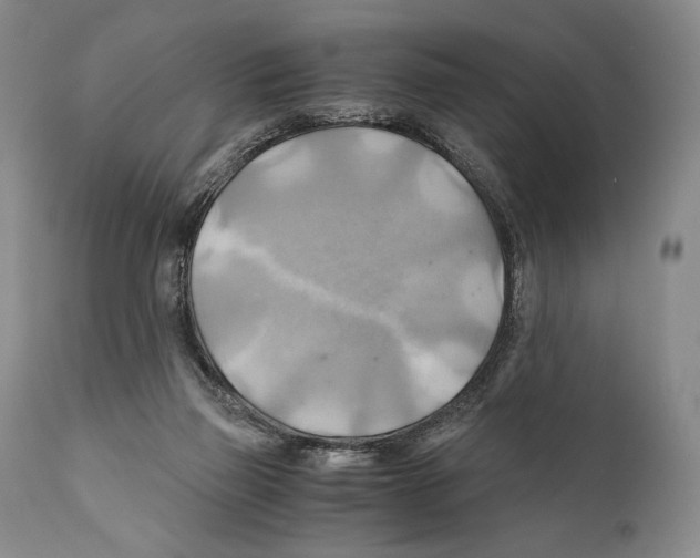 X0000111030165200907231629