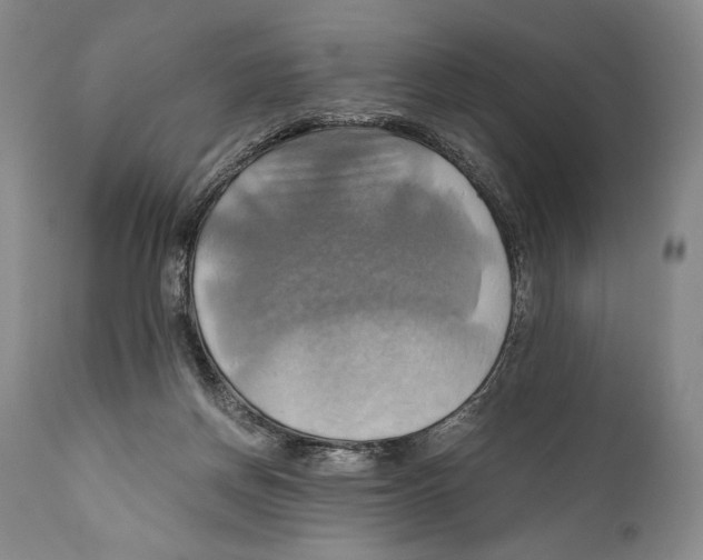 X0000111030166200907231629