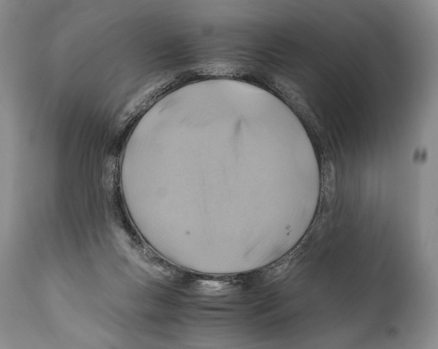 X0000111030167200907231629