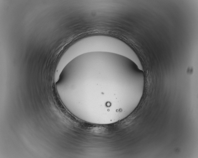 X0000111030168200907231629