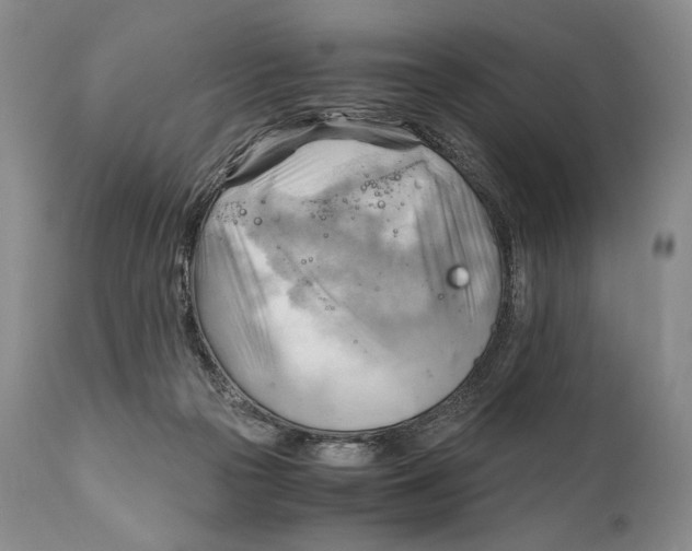 X0000111030169200907231629