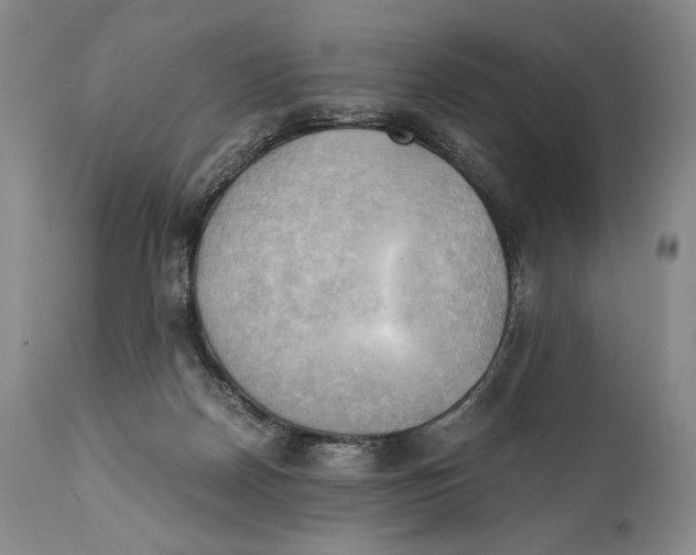 X0000111030170200907231629