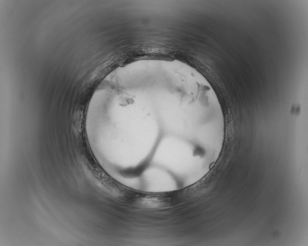 X0000111030171200907231629