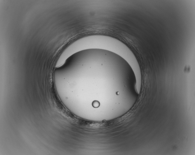 X0000111030172200907231629