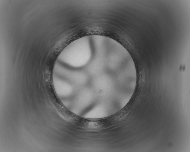 X0000111030173200907231629