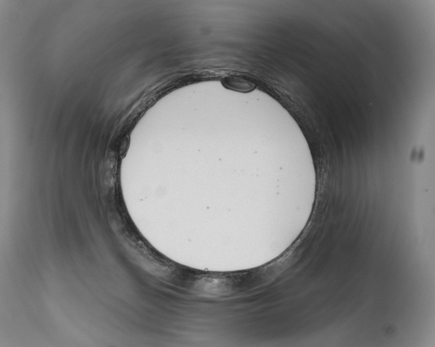 X0000111030174200907231629