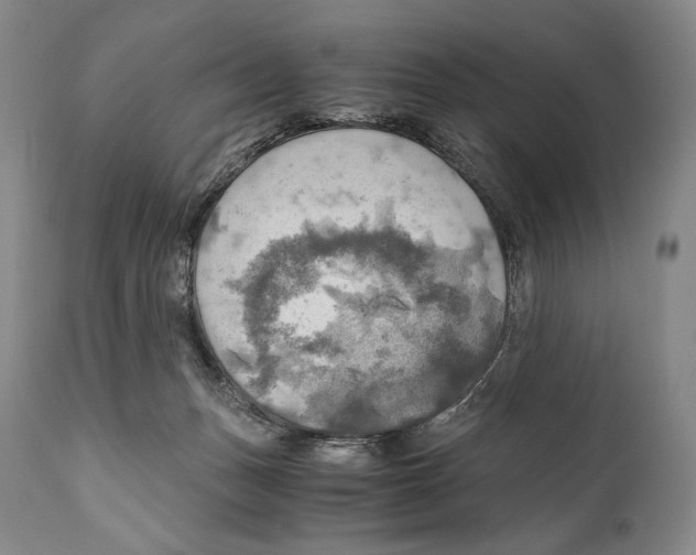 X0000111030175200907231629