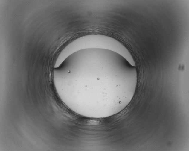 X0000111030176200907231629