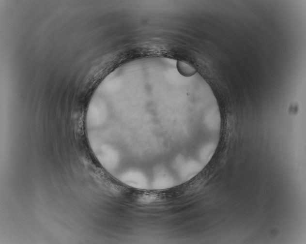 X0000111030177200907231629