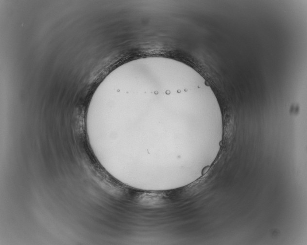 X0000111030179200907231629