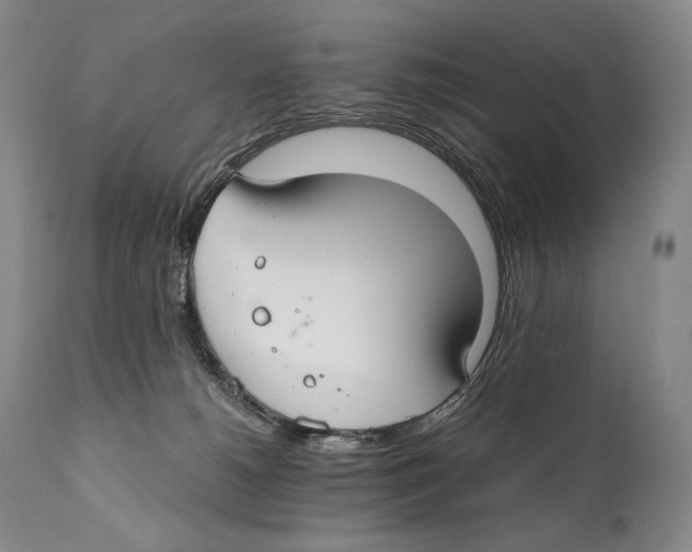 X0000111030180200907231629