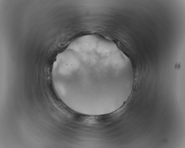 X0000111030182200907231629