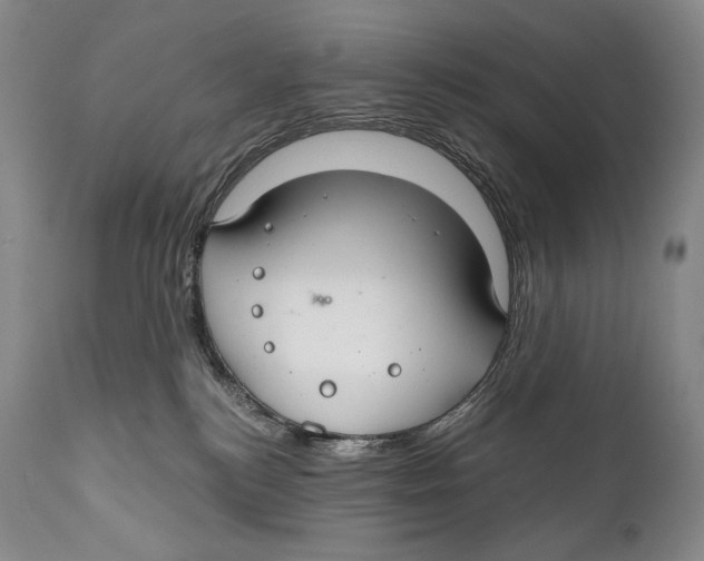 X0000111030184200907231629