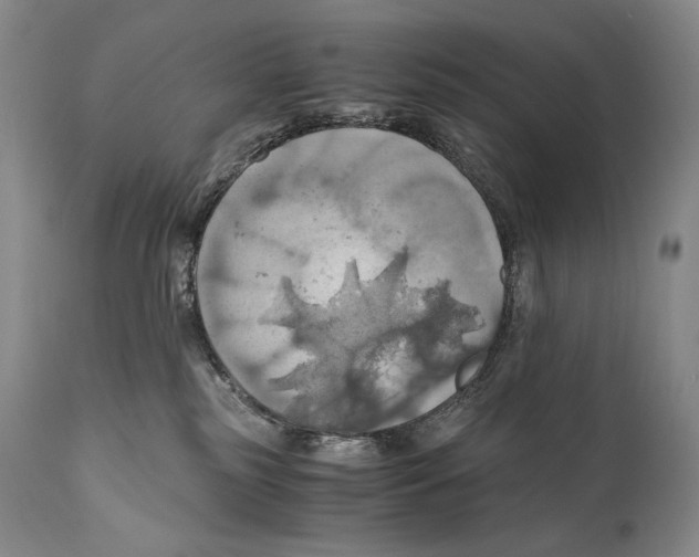 X0000111030185200907231629