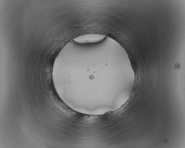 X0000111030186200907231629