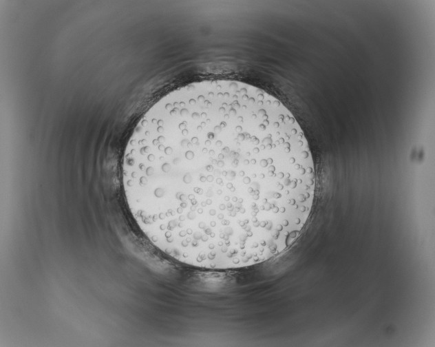 X0000111030187200907231629